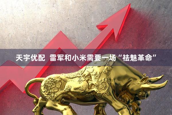 天宇优配  雷军和小米需要一场“祛魅革命”