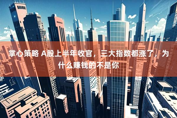 掌心策略 A股上半年收官，三大指数都涨了，为什么赚钱的不是你